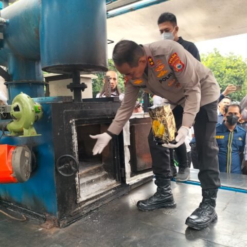 WhatsApp Image 2024-05-30 at 07.16.55