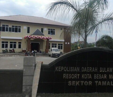 164051 polsektamalate01