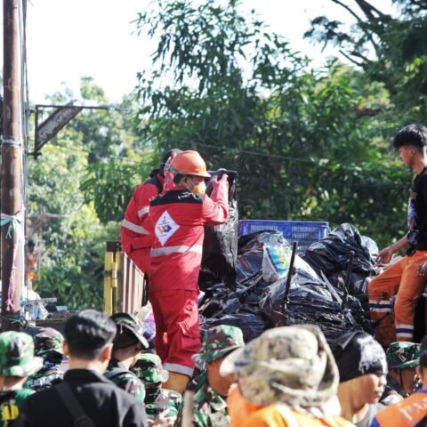 d1067994-94f2-4910-a425-7fef645cf219 d1067994 94f2 4910 a425 7fef645cf219