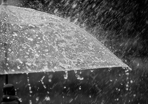 20231024 a12d0796 255f 42ea b783 bc17dce85cc6