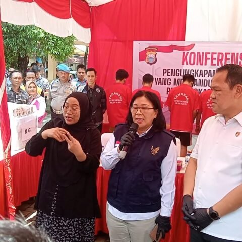 IMG 20241108 20030327