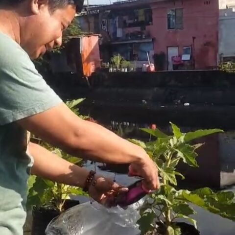 IMG 20250219 193922