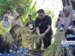 Dinas Perikanan dan Pertanian Makassar