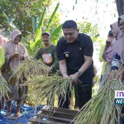 Dinas Perikanan dan Pertanian Makassar