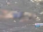 bantaeng Mayat di Temukan