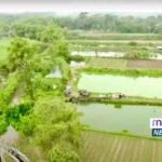 Potensi air Desa Rejoagung, Jombang, bertransformasi jadi sumber ekonomi lewat Reforma Agraria (penataan akses). Pemda bersama Kementerian ATR/BPN membentuk tiga kelompok budidaya ikan—Mina Rejo, Mina Jaya Berkah, dan Mina Agung—yang kini menggerakkan ekonomi desa.