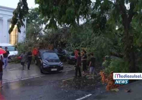 Pohon besar tumbang menutup Jl Andi Pallawarukka, Kelurahan Siengkang, Sengkang, Wajo, dan menimpa puluhan kendaraan, Minggu (26/10/2025) malam.