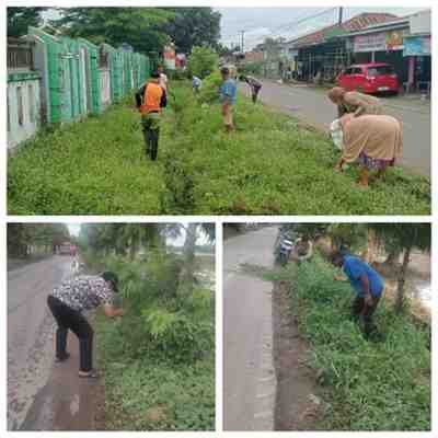 WhatsAppImage2025 12 17at10.40.48