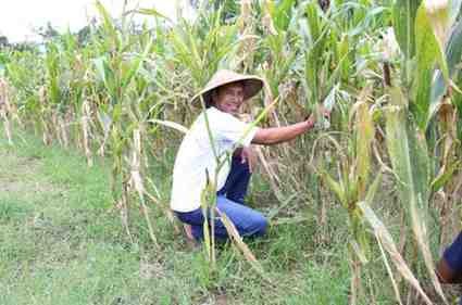 WhatsAppImage2025 12 21at15.26.39