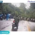 29 Titik di Makassar Diterjang Angin Kencang, BPBD Ingatkan Warga Waspada Pohon Tumbang