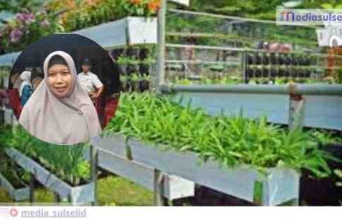 SalinandariBiruKuningModernReviewGadgetYoutubeThumbnail1 6