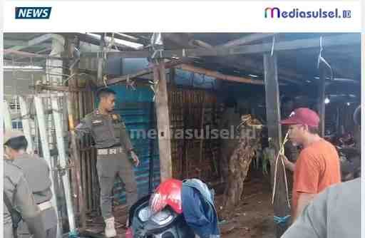 Screenshot2026 01 3111131