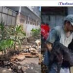 Satu Aplikasi untuk Semua, Lontara+ Bikin Layanan Warga Makassar Makin Cepat 1 Usai Penertiban Penjual Kambing, RT/RW di Lamuru Gotong Royong Bikin Taman Hijau