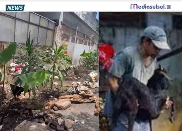 Screenshot2026 02 0320240