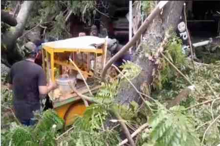 Screenshot2026 02 0513033