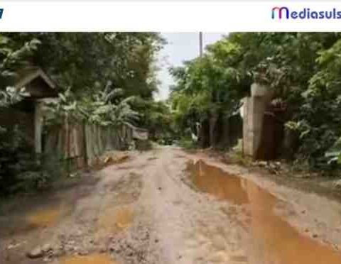 Screenshot2026 02 1413470