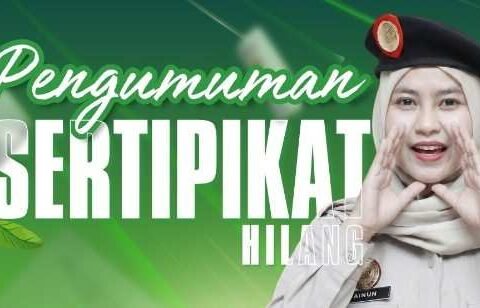 WhatsAppImage2026 02 05at17.43.11