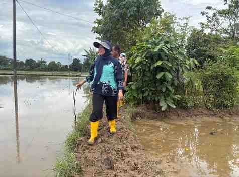 WhatsAppImage2026 02 13at07.59.12