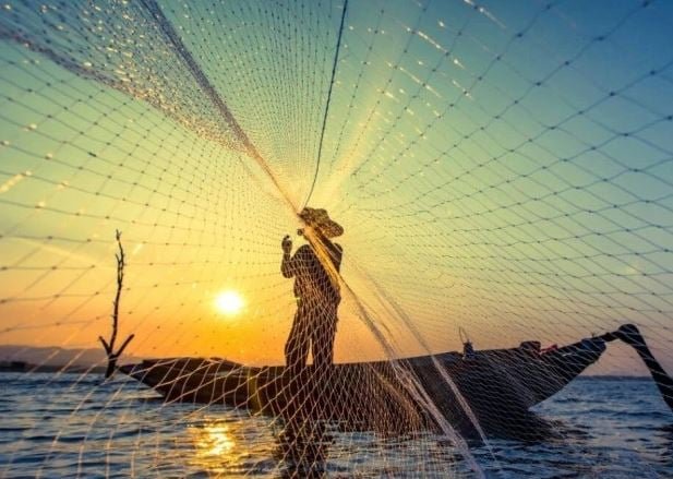 Potensi Rp7 Triliun: Ekonom Sebut Investasi Perikanan Sulsel Ungguli Tambang