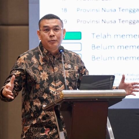 Wamen ATR Tekankan Pentingnya Satu Peta Sawah Nasional Demi Lindungi Lahan Pertanian