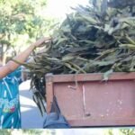 DPMPTSP Makassar Kerja Bakti di Gunung Sari, Perkuat Persiapan Lomba Kelurahan 2026