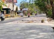 Pemkab Pangkep Percepat Perbaikan Jalan Matahari, Progres Capai 40 Persen 17 WhatsAppImage2026 07 16at15.50.051