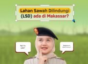 Masyarakat Makassar Bisa Cek Status Lahan Sawah Dilindungi Lewat Situs ATR/BPN