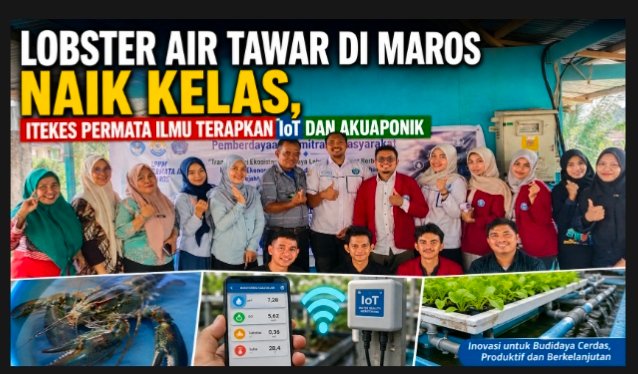 Lobster Air Tawar di Maros Naik Kelas, ITEKES Permata Ilmu Terapkan IoT dan Akuaponik 1 IMG 20260815 201225
