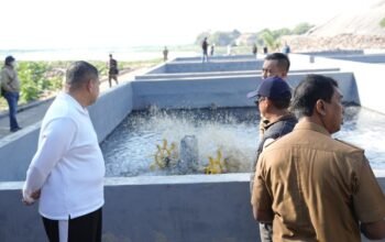 Appi Semprot Pejabat di TPA: Jangan Cuma Semangat Kalau Ada Untungnya! 8 walkot mks tpa tamangapa