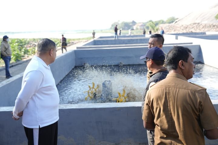 walkot mks tpa tamangapa