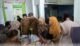 DPPKB Makassar Dekatkan Pelayanan KB kepada Warga Kepulauan
