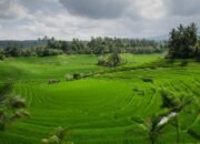 LP2B 87,63 persen — dokumentasi Kementerian ATR/BPN