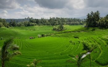 LP2B 87,63 persen — dokumentasi Kementerian ATR/BPN