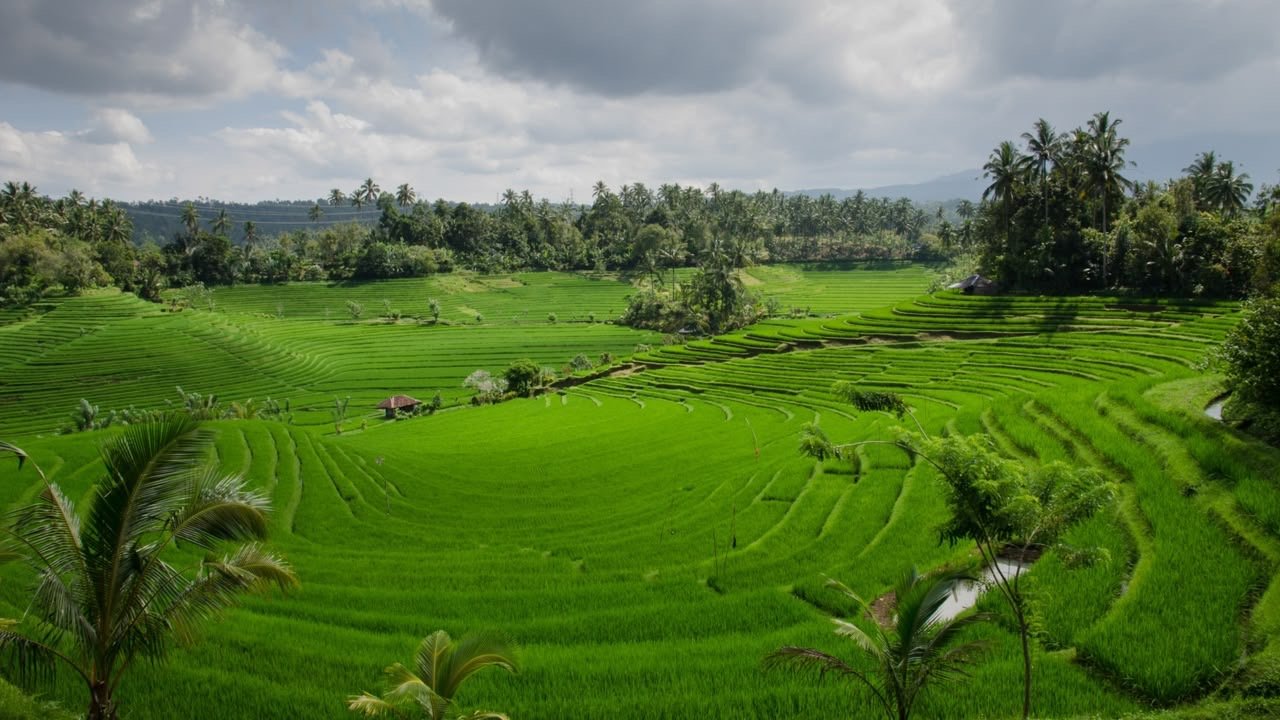 LP2B 87,63 persen — dokumentasi Kementerian ATR/BPN