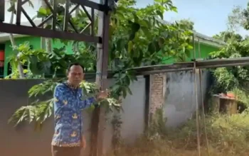 Kantah Takalar Verifikasi Aset Pemda di Lapangan, Sertipikasi Didorong Lebih Cepat 6 Peninjauan lokasi aset Pemda Takalar untuk mendukung percepatan pensertipikatan