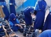 SMPN 15 Makassar Sulap Sampah Daun Jadi Kompos, Siswa Tanam Cabai Lewat BERSAUDARAKI