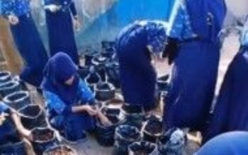 SMPN 15 Makassar Sulap Sampah Daun Jadi Kompos, Siswa Tanam Cabai Lewat BERSAUDARAKI