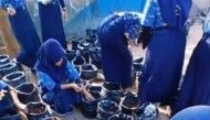 SMPN 15 Makassar Sulap Sampah Daun Jadi Kompos, Siswa Tanam Cabai Lewat BERSAUDARAKI
