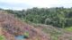 Bentang kawasan tanah sebagai ilustrasi penanganan konflik agraria
