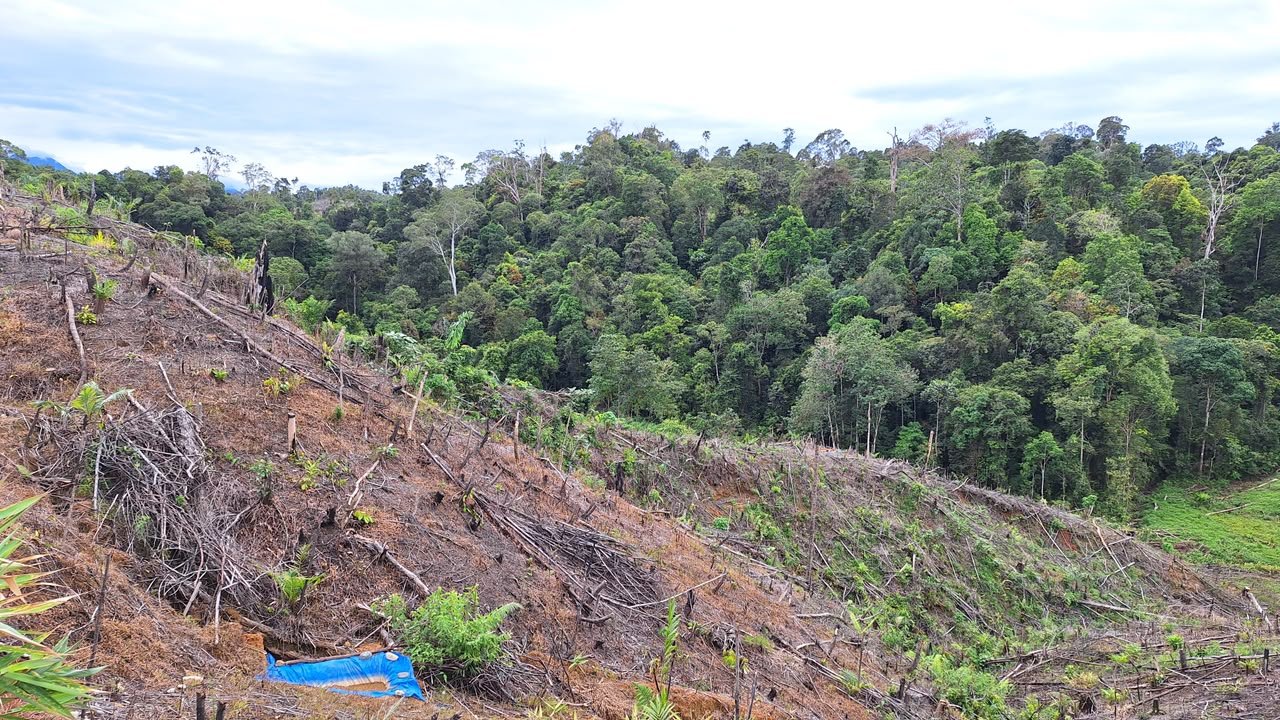 ATR/BPN Jelaskan Pemulihan Hak dalam Konflik Agraria 1 Bentang kawasan tanah sebagai ilustrasi penanganan konflik agraria
