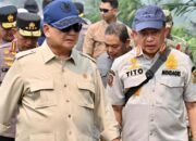 Menhut Bekukan Izin 6 Perusahaan, Sanksi Karhutla Jadi 32