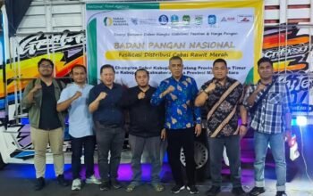 Petugas memeriksa cabai rawit untuk pengiriman ke Halmahera Utara